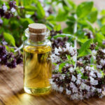 Oil of Oregano for Immune Support: Unveiling its Potential Benefits