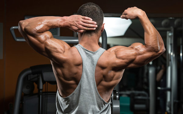 Building Muscle: 10 Expert-Backed Tips for Effective Muscle Growth