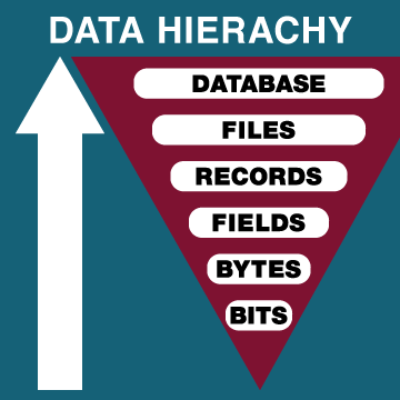 The Levels of Data Hierarchy in Information Technology