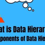 The Levels of Data Hierarchy in Information Technology